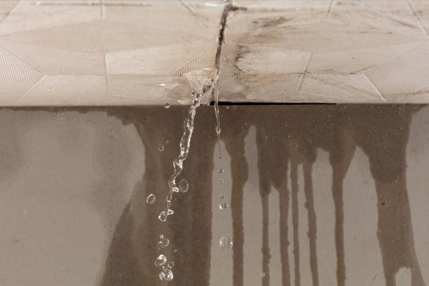 Professional Structural Drying technician working in Langley, WA
